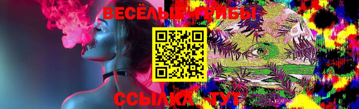 Псилоцибиновые грибы мицелий  Вход с VPN  Черкесск 