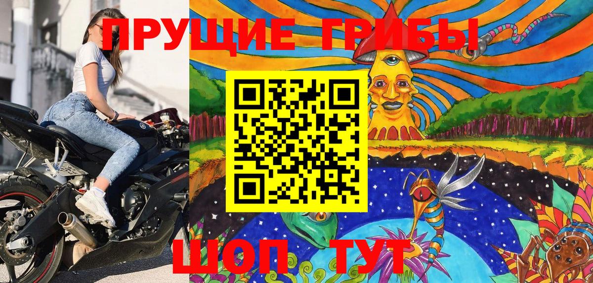 Псилоцибиновые грибы GOLDEN TEACHER Черкесск